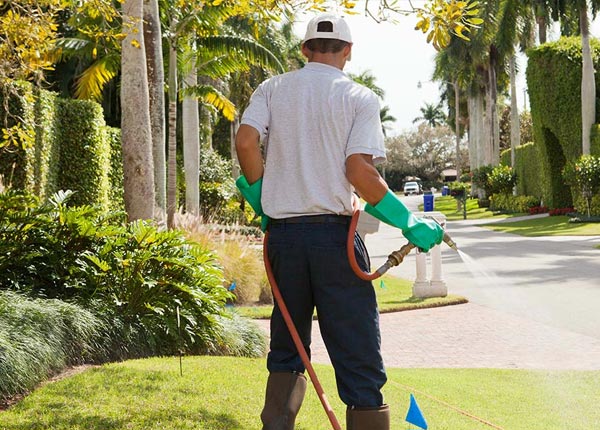 About Kendall NY Pest Control